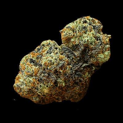 Terp Farmz - White Trufflez Auto